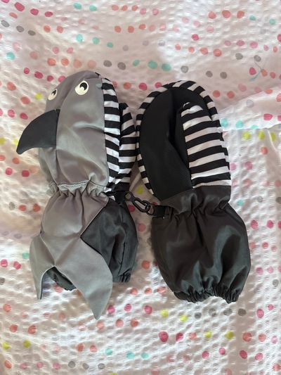 Cat&jack  Toddler (2-4 yrs)